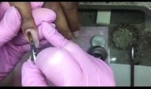 West Coast Gel Nails-Illinois 2025-26